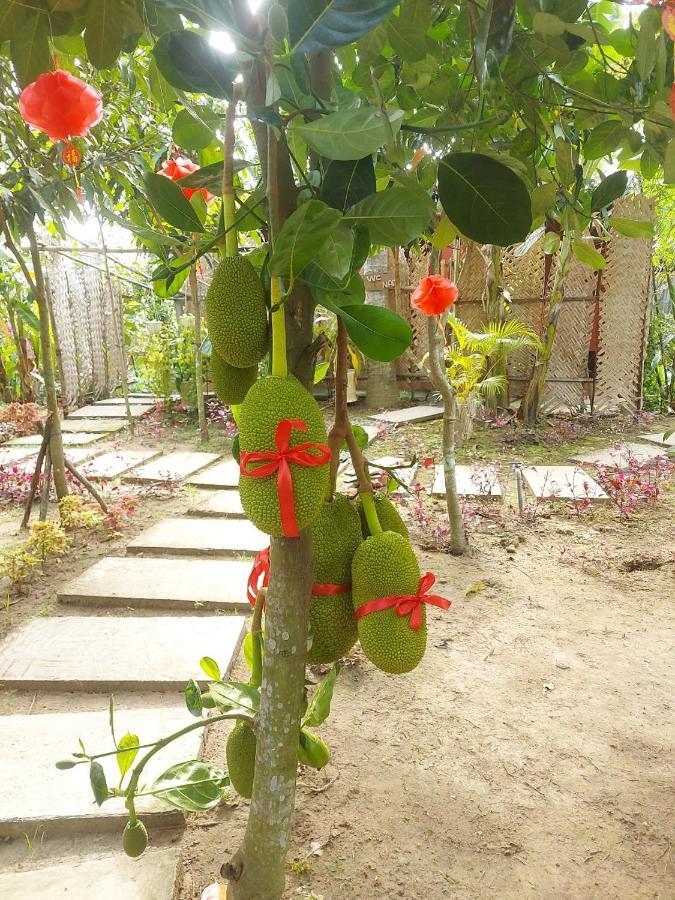 Homestay Nam Ham Luong Ben Tre Exterior photo
