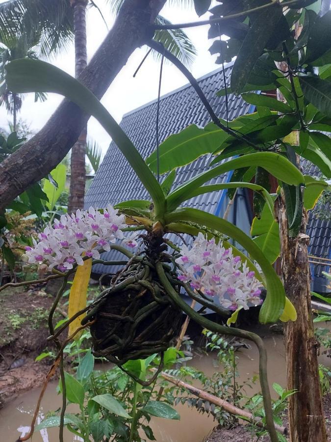 Homestay Nam Ham Luong Ben Tre Exterior photo